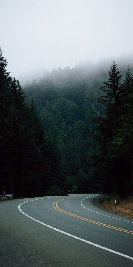 蜿蜒山路穿雾林青灰风景手机壁纸
