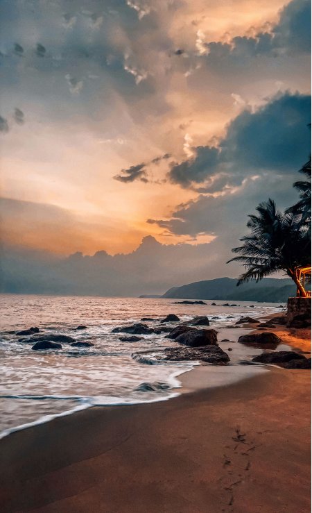 海边日落椰树剪影暖金风景手机壁纸