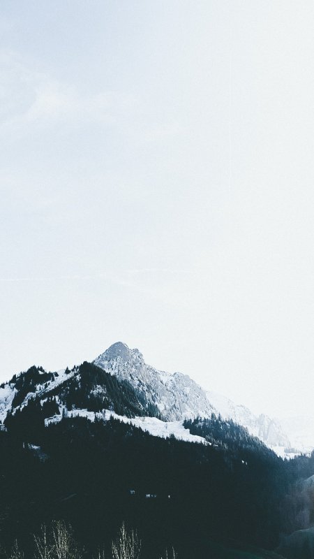 雪山巍峨松林覆盖蓝白风景手机壁纸