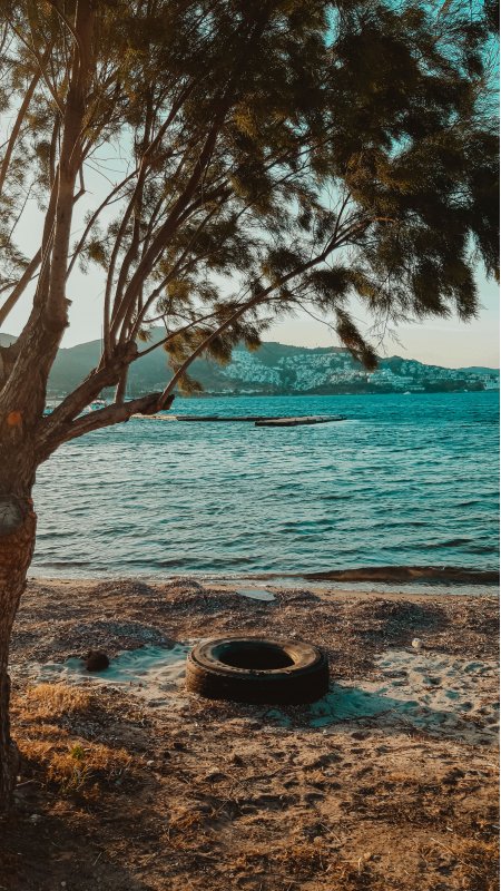 海边松树轮胎沙滩蓝绿风景手机壁纸