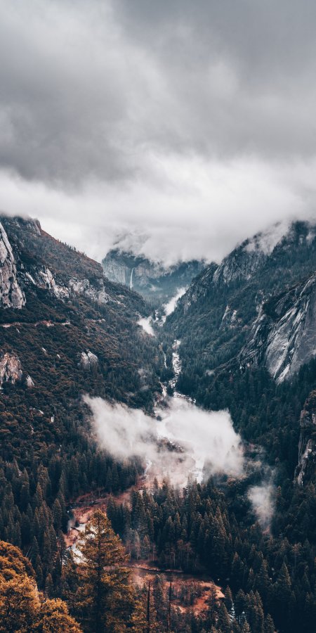 山谷云雾缭绕溪流穿林灰绿风景手机壁纸