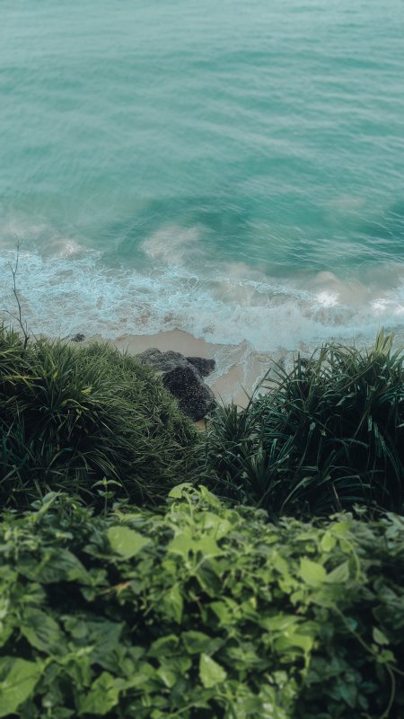 碧海白浪礁石绿植青蓝风景手机壁纸
