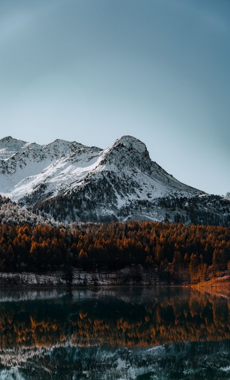 雪山倒影湖畔金棕森林蓝灰风景手机壁纸