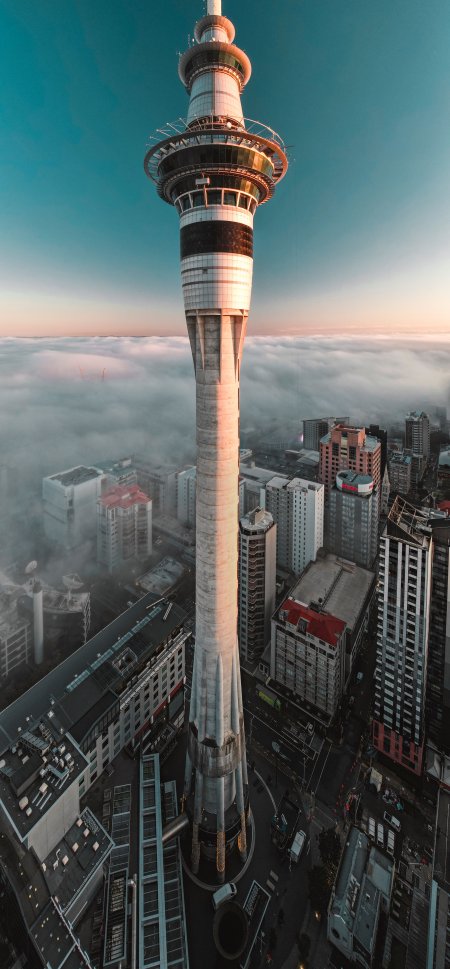 奥克兰天空塔云海日出蓝金城市建筑手机壁纸