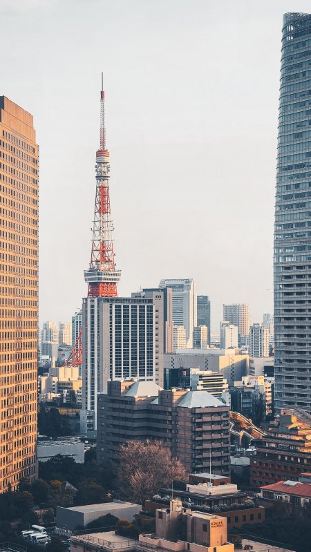东京塔耸立城市中央暖金建筑手机壁纸
