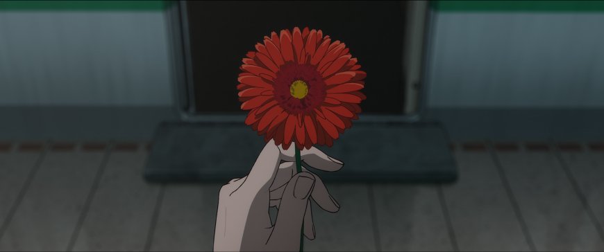 红色雏菊手握特写暗灰动漫电脑壁纸