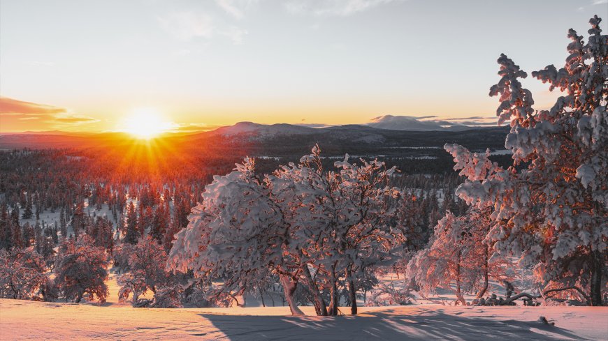 雪原日出霞光染林橙红风景电脑壁纸