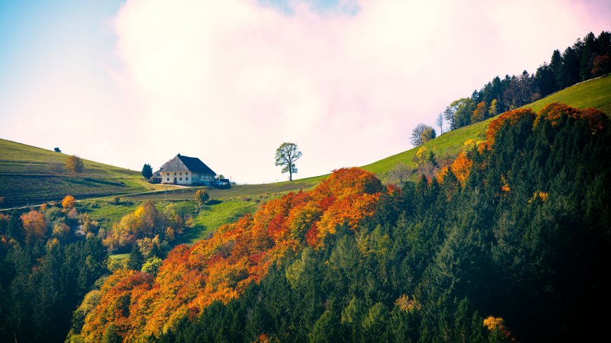秋山层林尽染小屋点缀暖金风景电脑壁纸