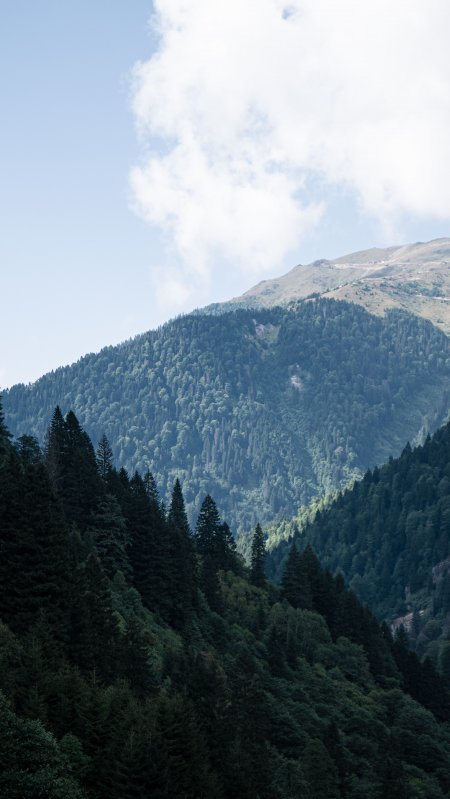 青山叠翠云绕峰蓝绿风景手机壁纸