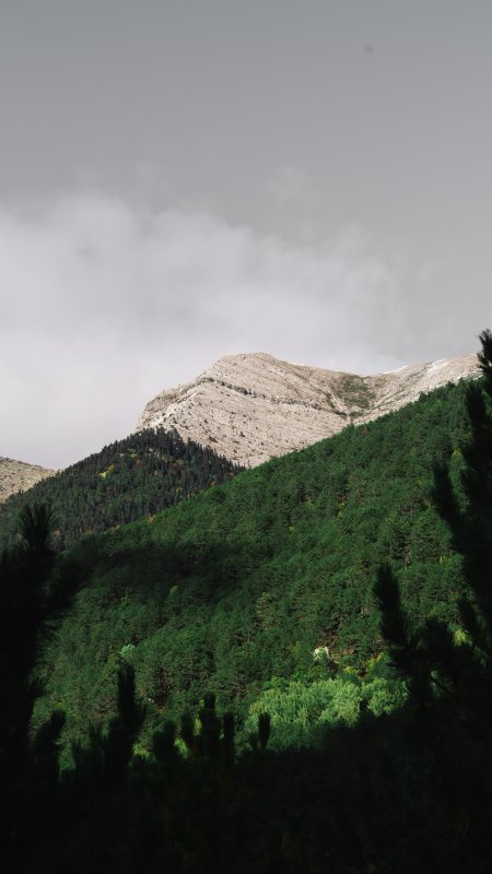 青山叠翠云雾缭绕灰绿风景手机壁纸