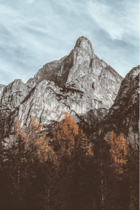 巍峨山峰秋林点缀灰蓝风景手机壁纸