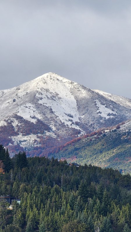 雪山覆雪层林染秋灰蓝风景手机壁纸