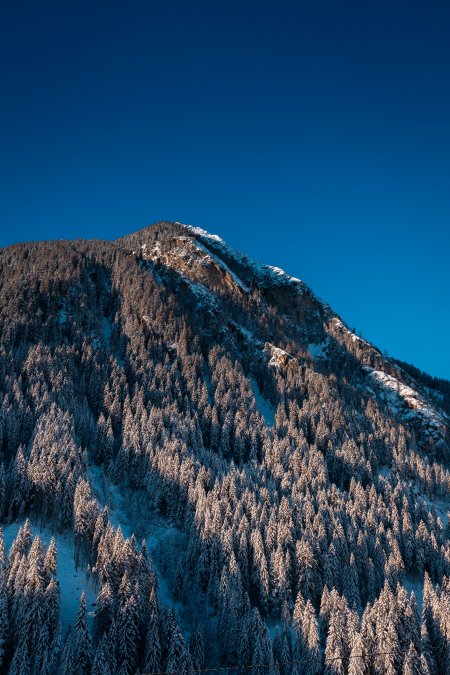 雪山森林晨光蓝白风景手机壁纸精选