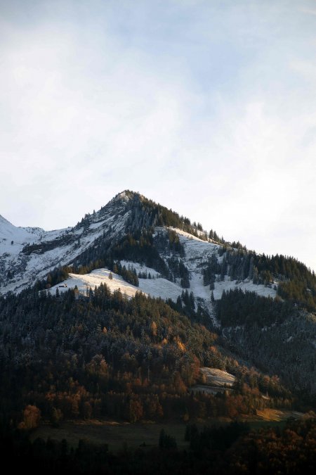 雪山松林晨光暖金风景手机壁纸精选