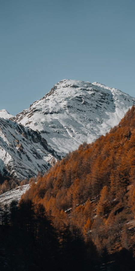 雪山巍峨金林层叠蓝白风景手机壁纸