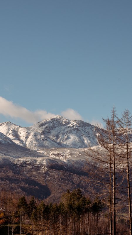 雪山巍峨林海环绕蓝白风景手机壁纸