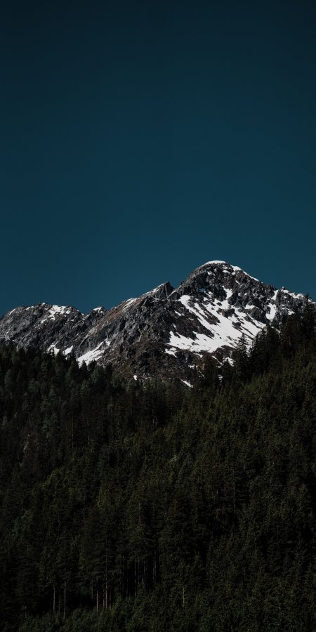 雪山巍峨林海深邃蓝黑风景手机壁纸