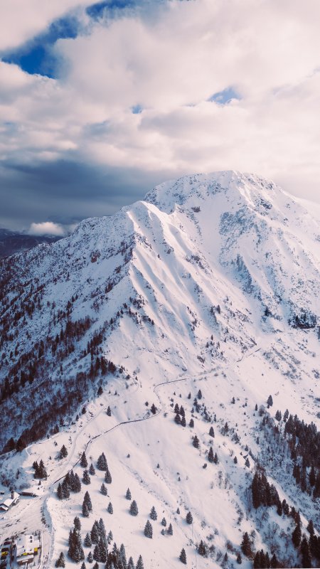雪山巍峨雪松点缀蓝白风景手机壁纸