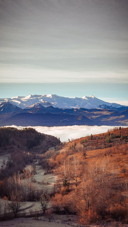 雪山云海层林尽染暖金风景手机壁纸