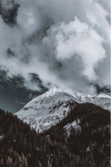 雪山云海松林灰蓝风景手机壁纸精选