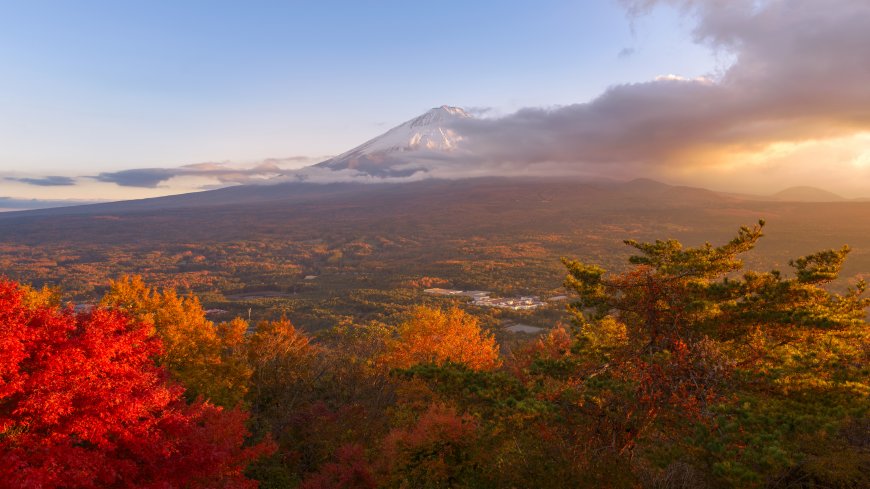 富士山秋日晨曦云海环绕红枫层林暖金风景电脑壁纸