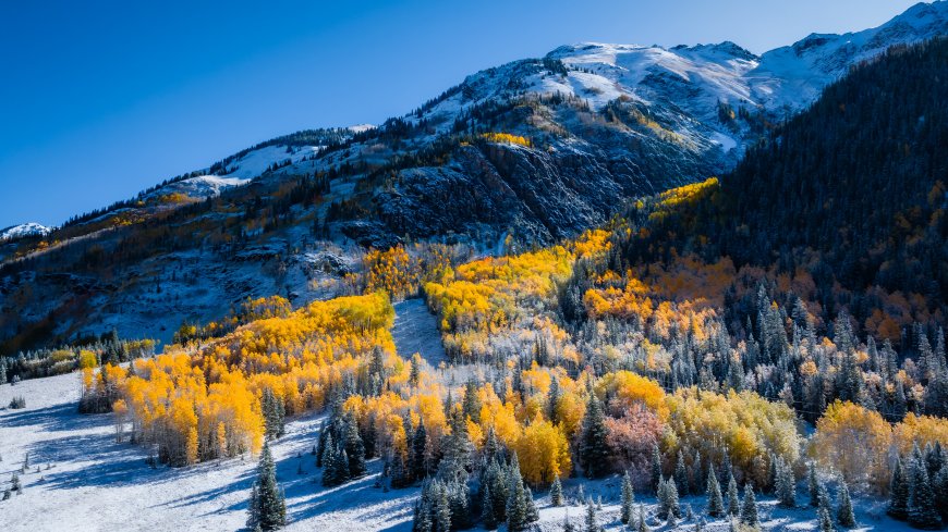 雪山秋林金黄层叠蓝白风景电脑壁纸