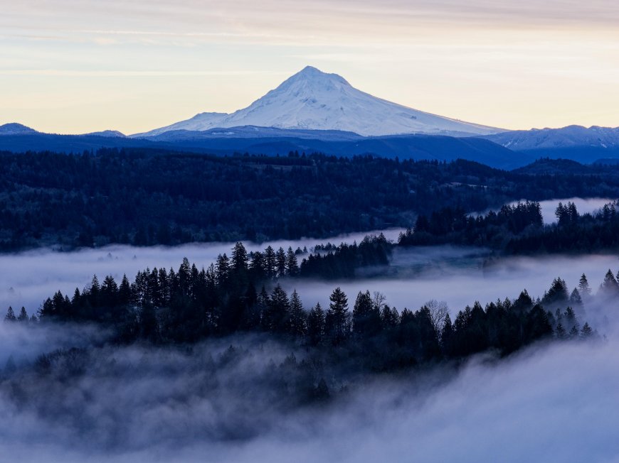 胡德山雪峰耸立云海松林蓝紫风景电脑壁纸