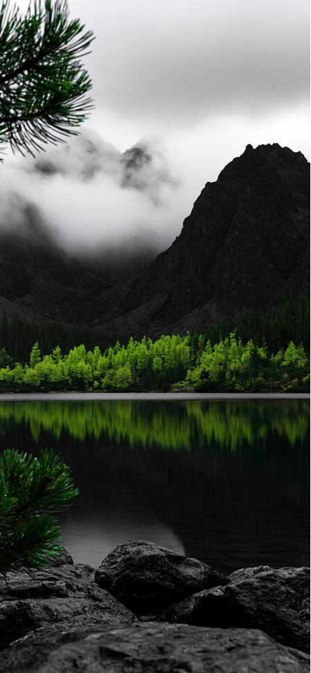 黑山云雾湖畔荧光绿林倒影暗调自然风景手机壁纸