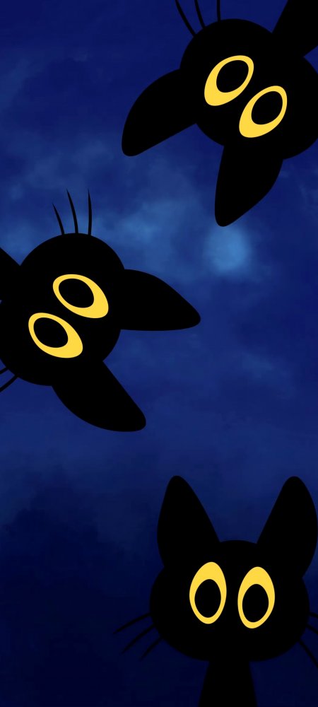 三只黑猫黄眼夜空剪影蓝紫动漫手机壁纸