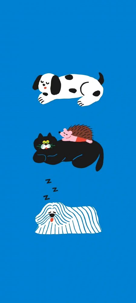 三只萌宠叠睡斑点狗黑猫刺猬蓝底插画手机壁纸