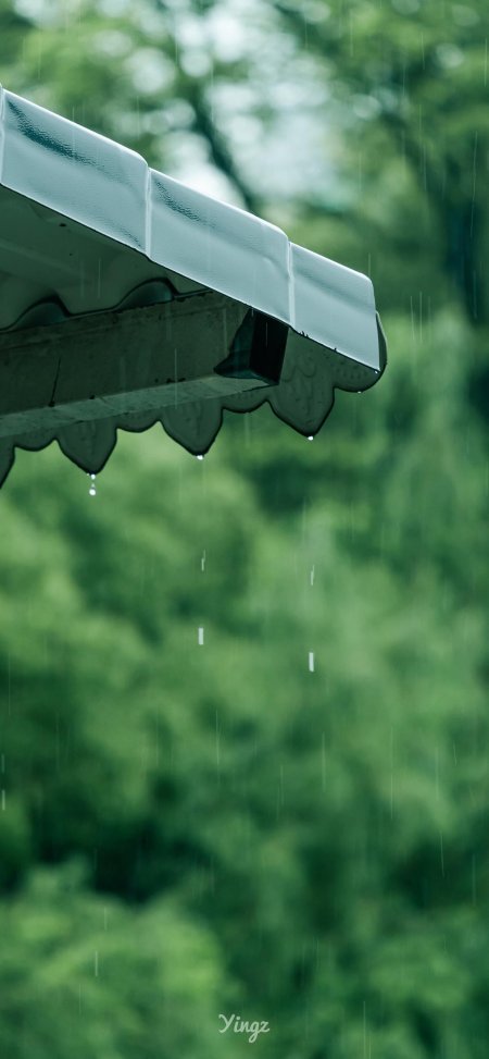 屋檐滴雨绿意朦胧青翠自然风景手机壁纸