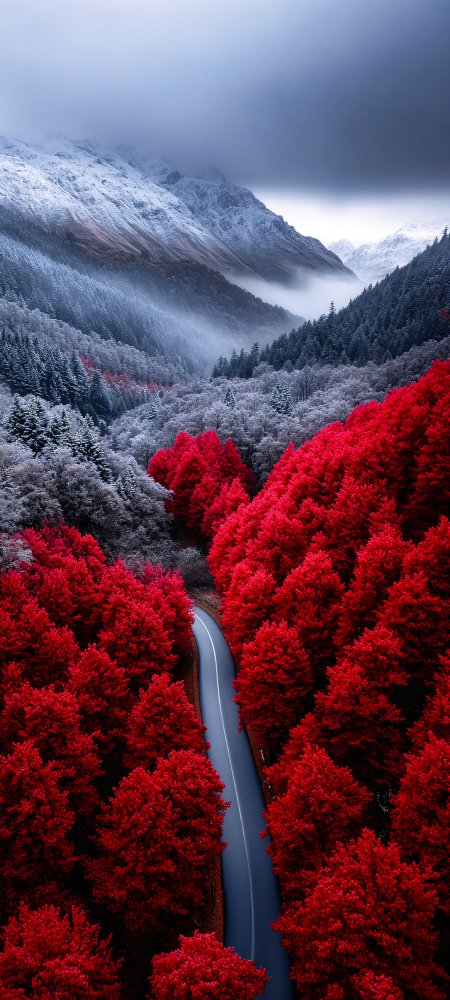 雪山峡谷红林蜿蜒公路蓝灰雾霭风景手机壁纸