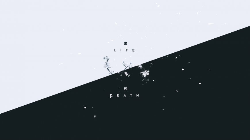 生死对角线樱花飘落黑白极简创意电脑壁纸
