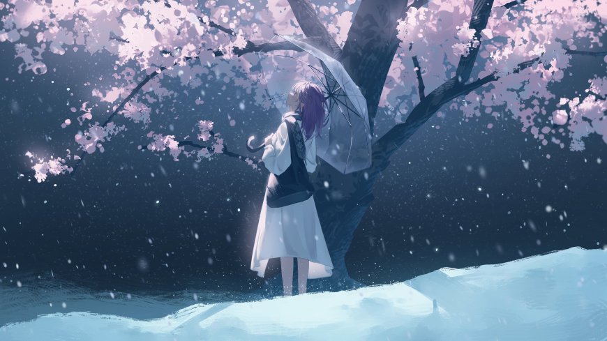 紫发少女樱花树下撑伞仰望粉紫梦幻动漫电脑壁纸