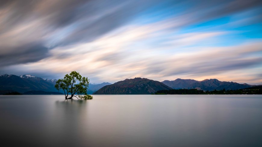 瓦纳卡湖孤独树静立水面蓝白渐变风景电脑壁纸