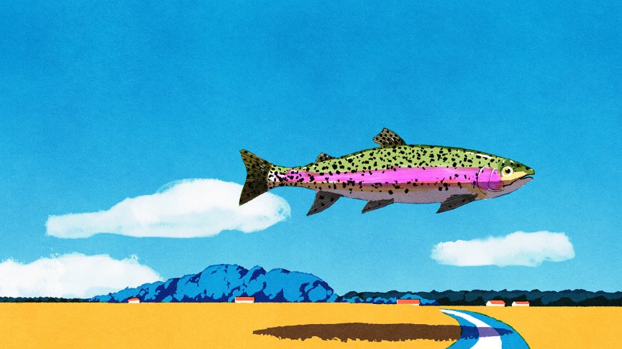 彩虹鳟鱼飞越田野蓝天白云插画风格创意电脑壁纸