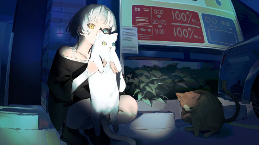 银发异色瞳少女夜街抱白猫蓝紫动漫电脑壁纸