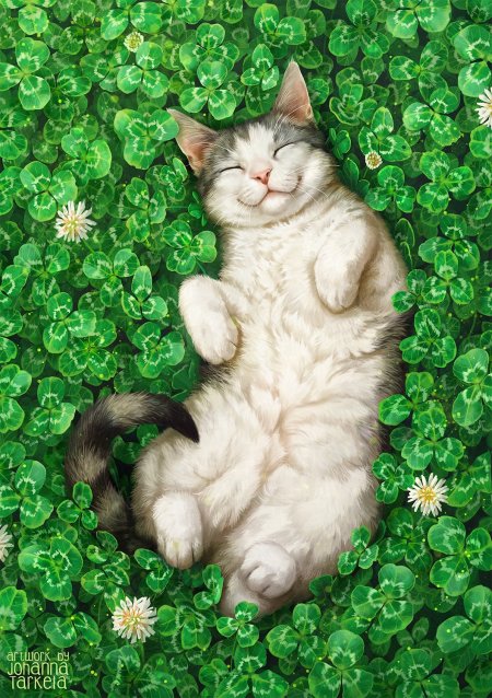 白灰相间猫咪仰卧三叶草丛中微笑绿意盎然萌宠手机壁纸
