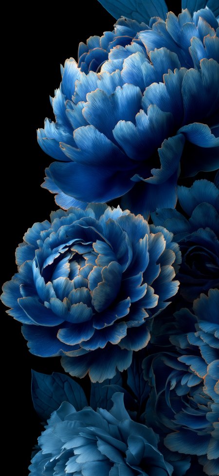 蓝色牡丹层层叠叠花瓣细腻金边点缀深蓝花卉植物手机壁纸