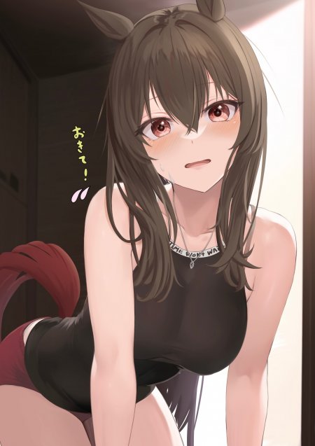 赛马娘特别周猫耳少女红瞳微汗动漫手机壁纸