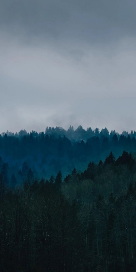 雾霭森林层叠山峦深蓝灰调自然风景手机壁纸