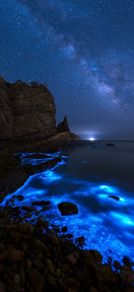星空海岸荧光海浪蓝紫梦幻自然风景手机壁纸