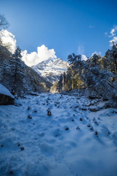 雪山巍峨林海覆雪溪谷蜿蜒蓝白风景手机壁纸