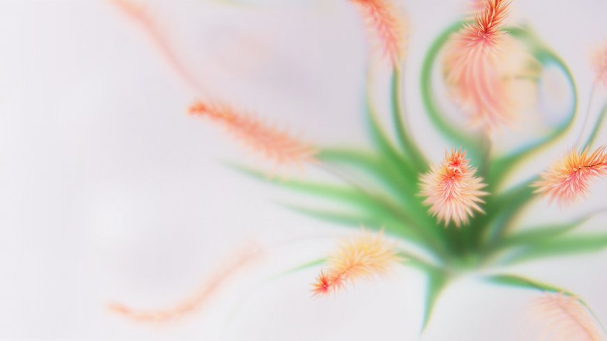 粉橙绒穗绿茎植物柔光唯美花卉植物电脑壁纸