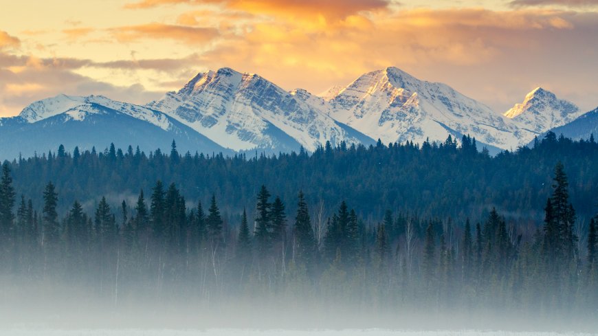 雪山巍峨林海苍茫晨雾缭绕金橙暖调风景电脑壁纸