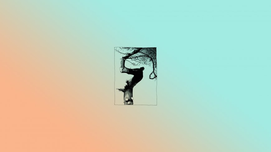 枯树剪影枝干扭曲黑白插画渐变橙青艺术创意电脑壁纸