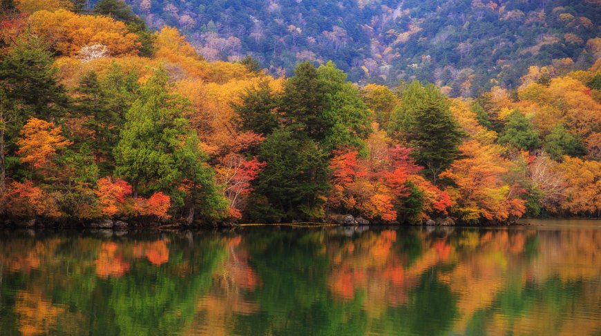 秋日山林湖畔层林尽染倒影如画橙红绿自然风景电脑壁纸