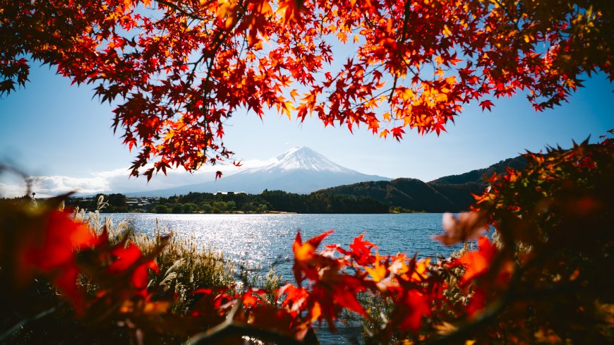 富士山秋日湖景红枫映衬蓝白风景电脑壁纸