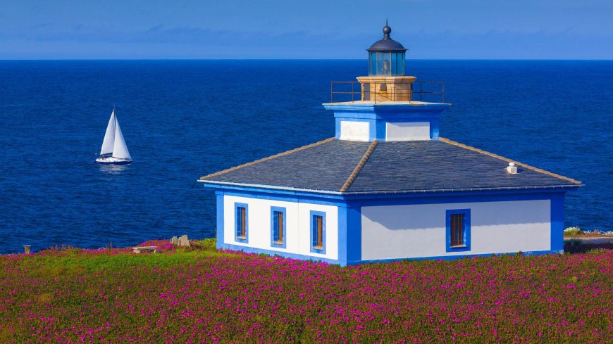 蓝色灯塔矗立花海海岸白帆远航深蓝风景电脑壁纸