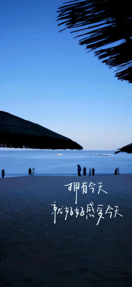 海边黄昏椰影剪影人群静立蓝调风景创意手机壁纸